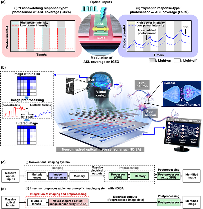 7 065504 (2025)..jpg