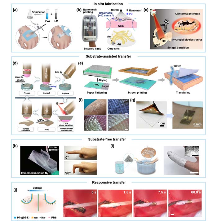 图6 Fig-17_画板 1.jpg