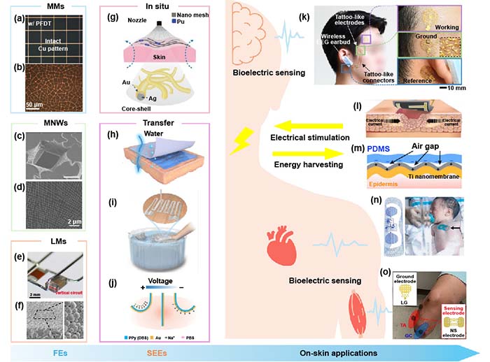 图1 Fig-1_画板 1.jpg