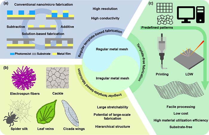 图2 Fig-2_画板 1.jpg