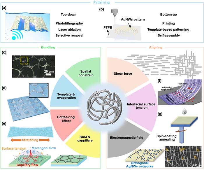 图3 Fig-6_画板 1.jpg