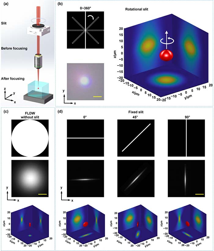 图1 Fig-2_画板 1.jpg
