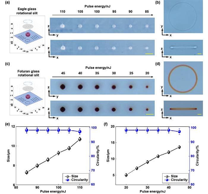 图2 Fig-4_画板 1.jpg