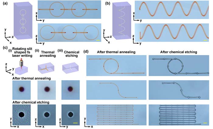 图5 Fig-8_画板 1.jpg