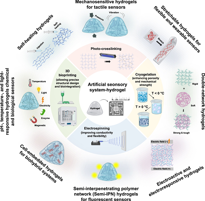 7 062002 (2025)..jpg